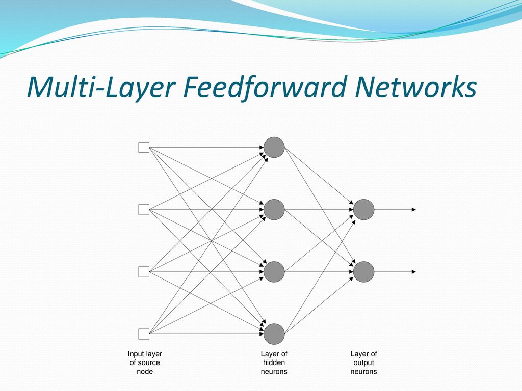feedforward network motifs are enriched investing
